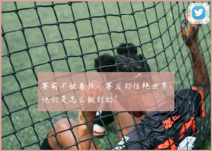 赛前不被看好，赛后却惊艳世界，他们是怎么做到的！