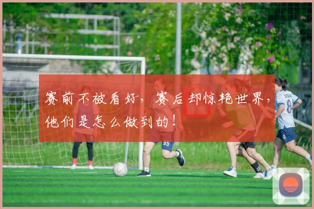 赛前不被看好，赛后却惊艳世界，他们是怎么做到的！
