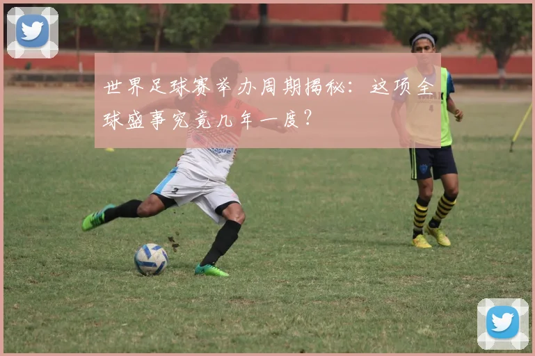 世界足球赛举办周期揭秘：这项全球盛事究竟几年一度？